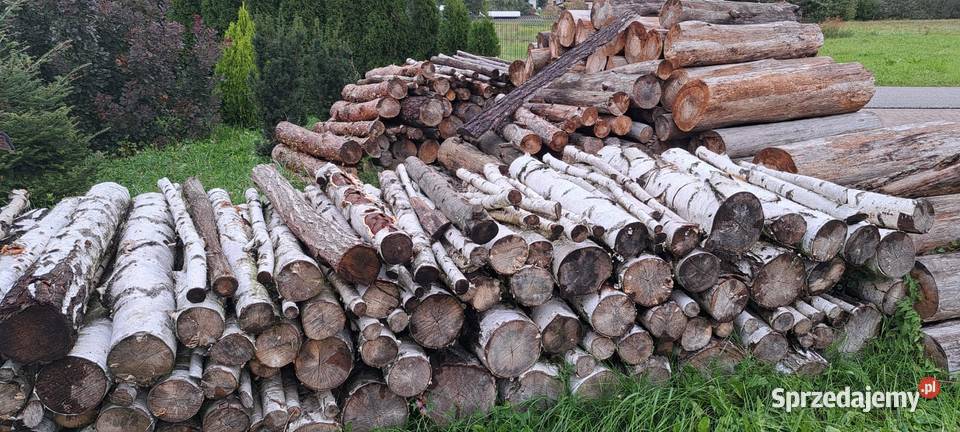 Sprzedam sezonowane drzewo opałowe Sosna brzoza małopolskie Tarnów sprzedam