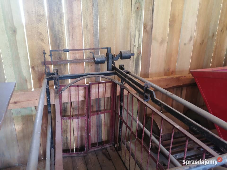 Waga do ważenia cieląt trzody podkarpackie Poręby Dymarskie