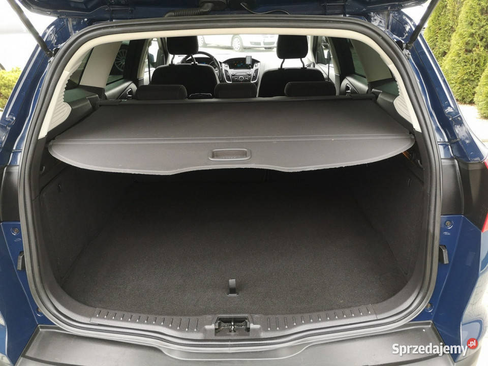 Ford Focus 15TDCI 115 Klima Parktronik Salon 4/5 dolnośląskie Strzegom