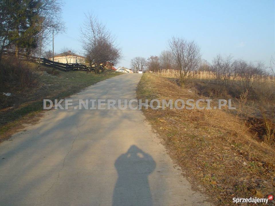 grunt 16000m2 Majdan Ostrowski Grunty i działki lubelskie Majdan Ostrowski