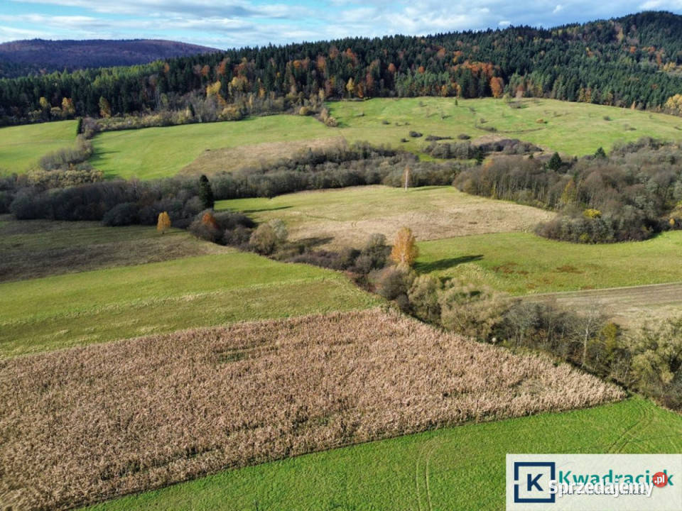 sprzedaży gruntu 587000m2 Daliowa