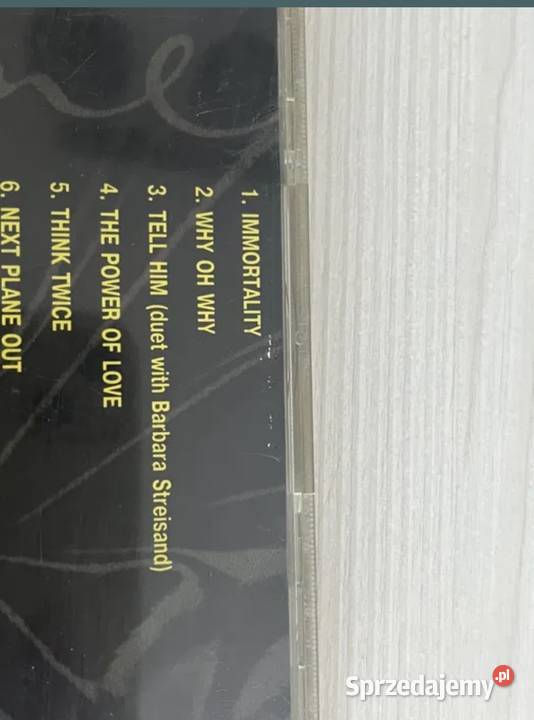 Płyta Celine Dion śląskie Chorzów