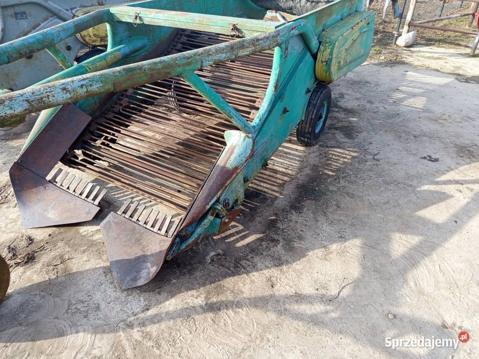 Kopaczka elewatorowa do ziemniaków chrzanu Kopaczki Szynkielów sprzedam
