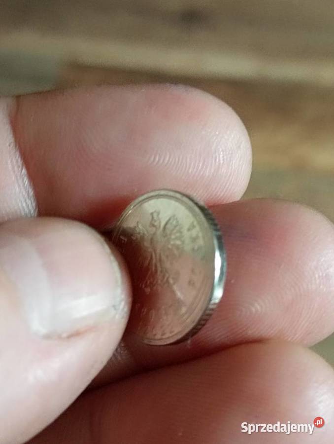 sprzedam 10 gr 1922 r DESTRUKT Chełm sprzedam