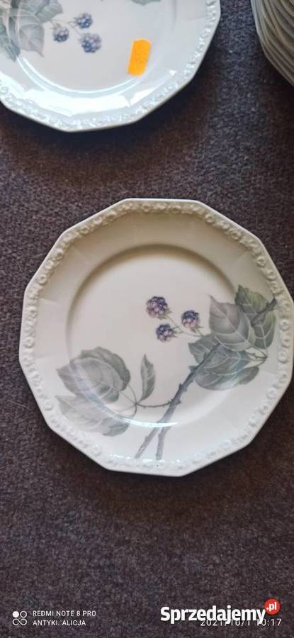 Sosjerka Jeżyna Rosenthal Maria pomorskie Gdańsk