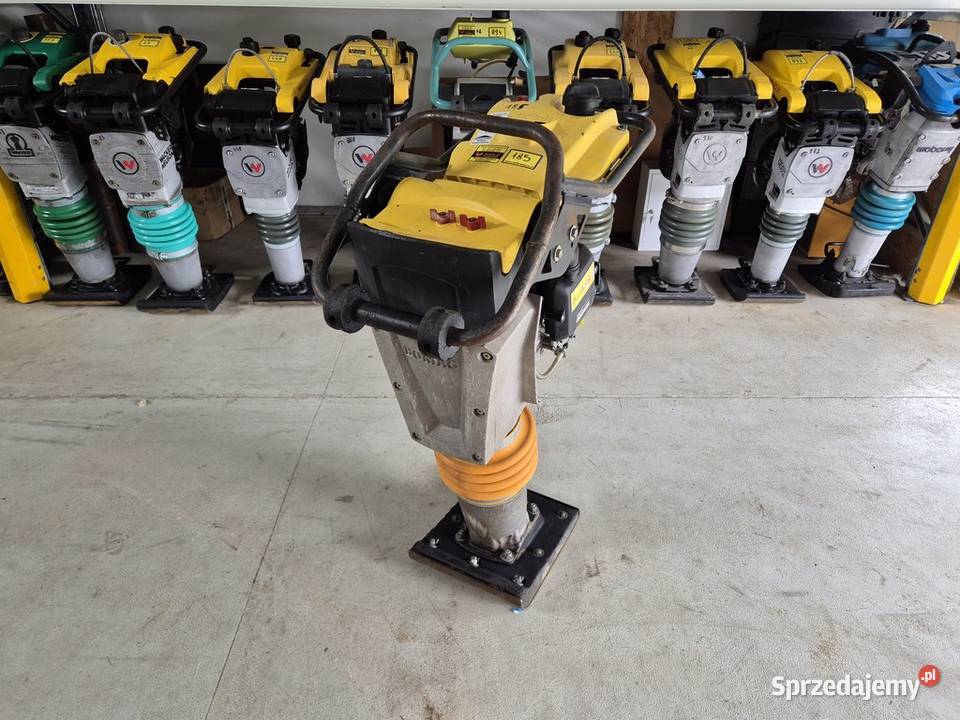 Skoczek Stopa Bomag BT 65 Wacker 185 dolnośląskie Trzebnica