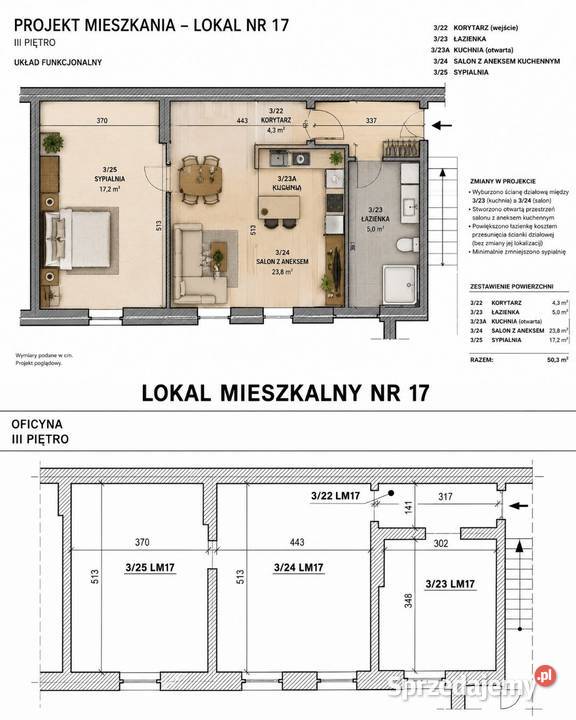 Wyjątkowe Jeżyce mieszkanie strych z potencjałem wielkopolskie Poznań
