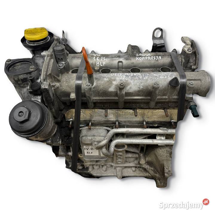 SILNIK BLF Audi A3 II 8P Skoda Octavia II 16 FSI osobowe Chełm