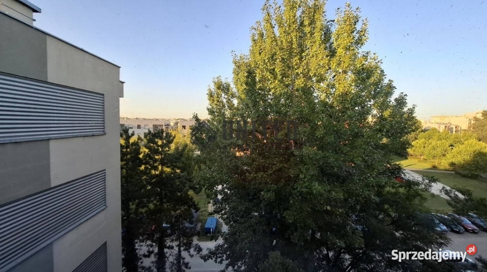 Skrzydlatej dolnośląskie Wrocław