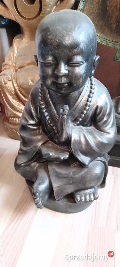 BUDDY CZTERY FIGURY wszystkie 500z inny kolor wielkopolskie Poznań