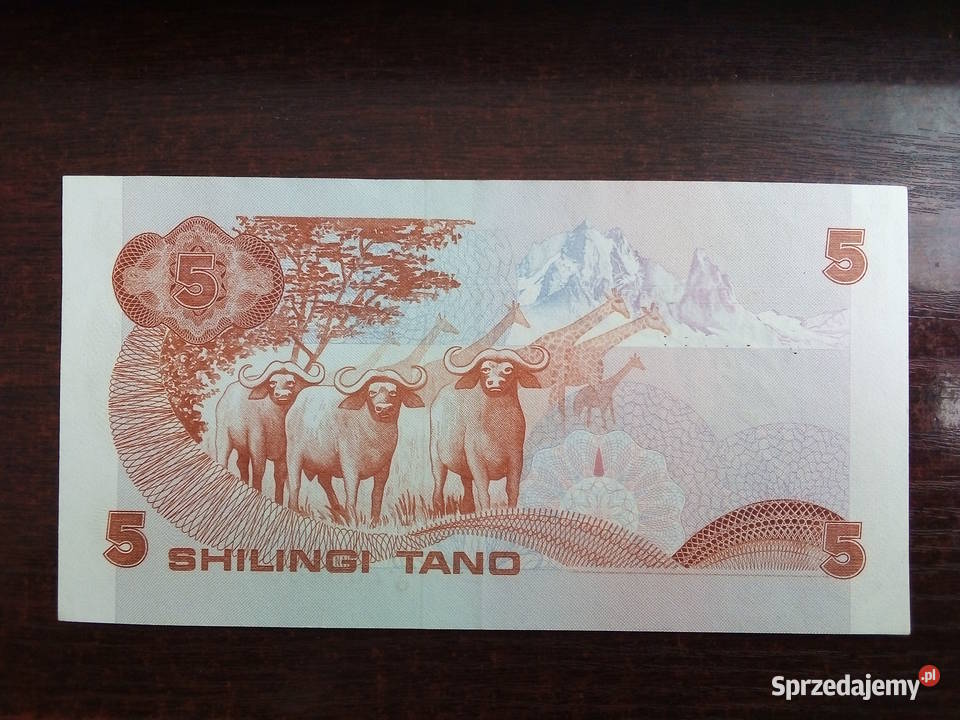 Banknot 5 szylingów Kenia Płońsk