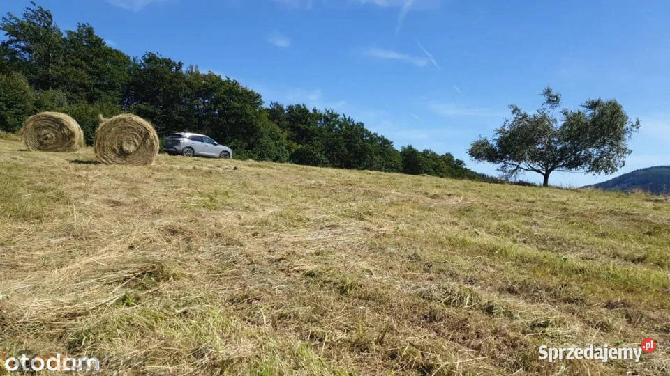 Działka Walim 3566m2 73m