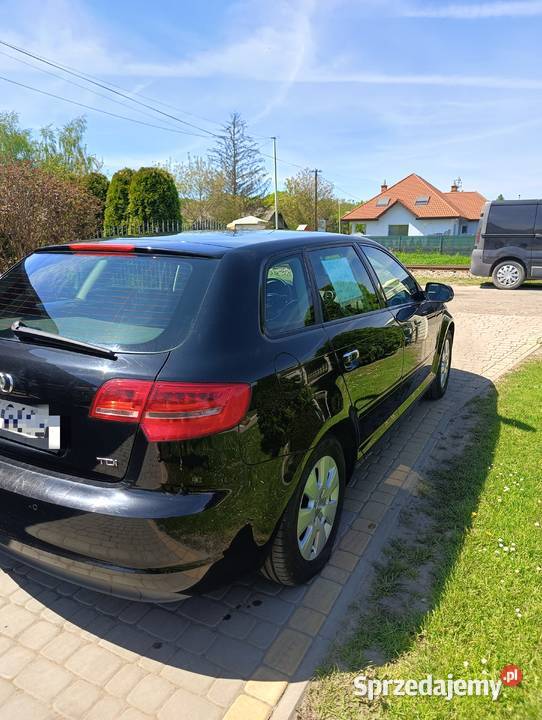 Audi A3 Audi A3 8P 16 diesel 2012 184000km Rzeszów