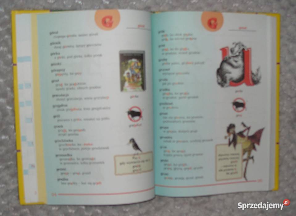 Nowy Ilustrowany Słownik Ortograficzny klas IVI encyklopedie, słowniki, leksykony Rawicz