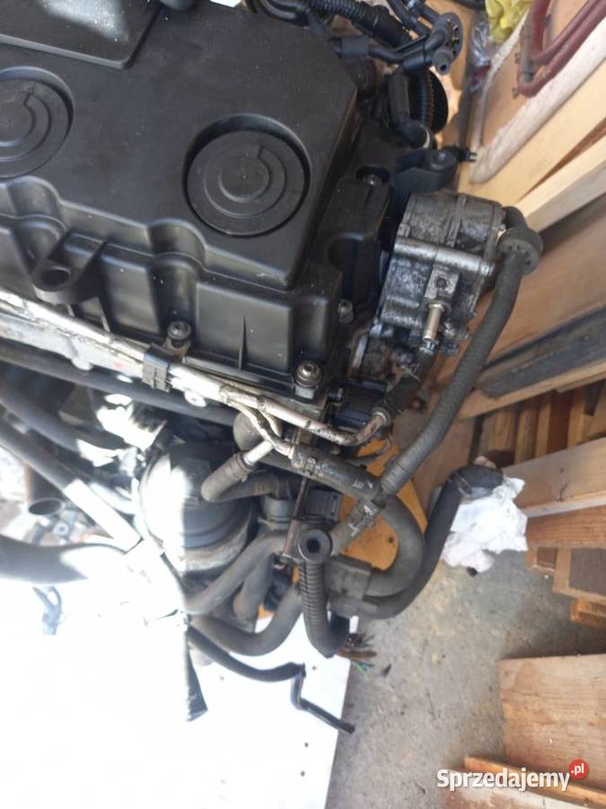 Silnik 20 TDi 140 BMM 2008 r Andrespol