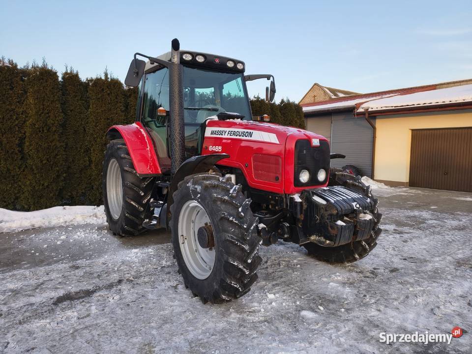 Massey Ferguson 6465 Massey Ferguson Grabów Szlachecki