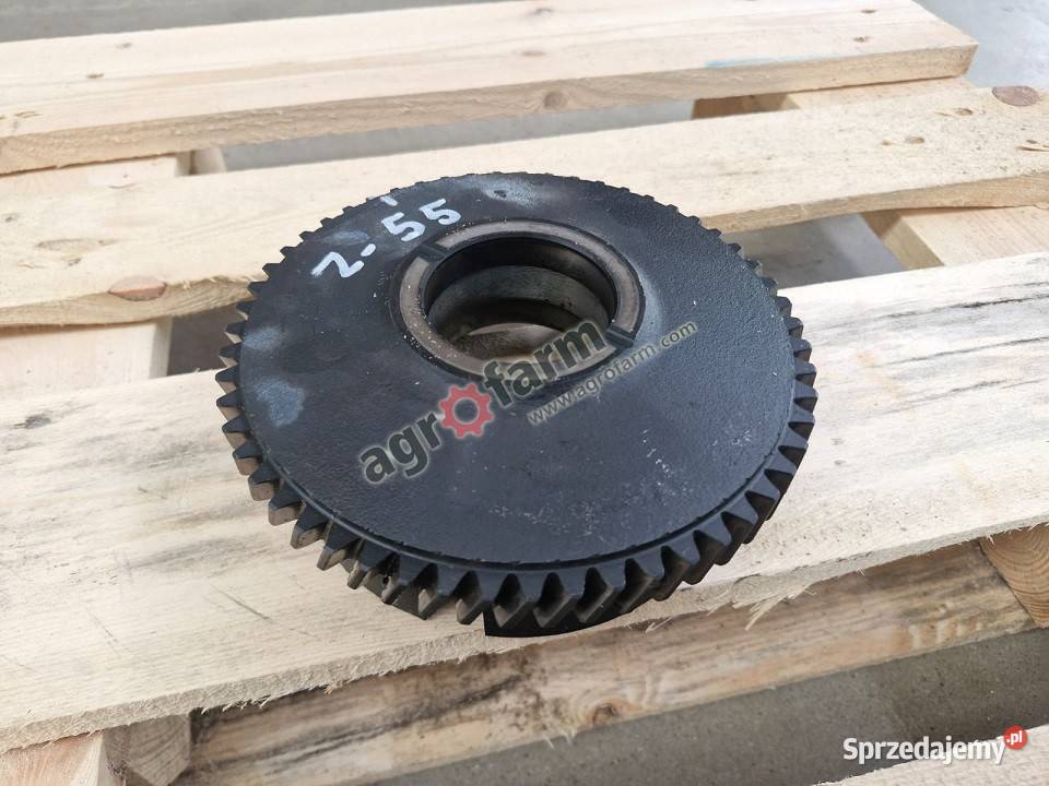 Koło zębate Z55 Fiat F130DT F140DT M100 M160 dolnośląskie