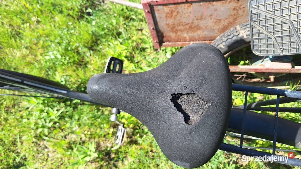 Rower retro Gazelle Koninkluge dieren Konin