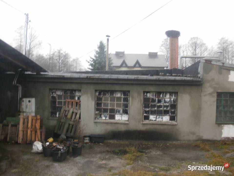 Syndyk sprzeda przedsiębiorstwo w Skorzeszycach Skorzeszyce sprzedam