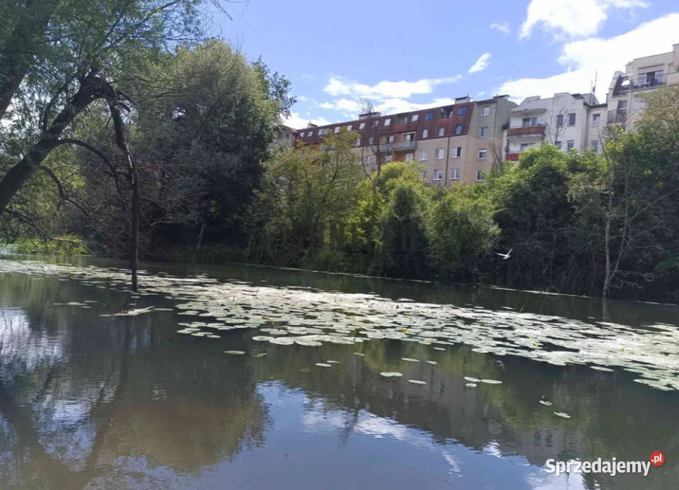 Mierniczej Wrocław