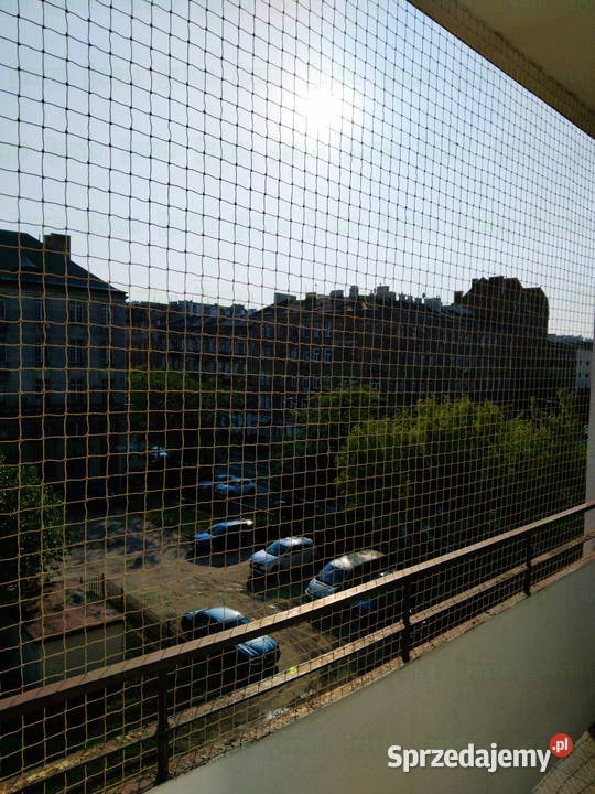 SIATKA KOTA na balkon bez zadaszenia Warszawa Dla zwierząt usługi dla zwierząt
