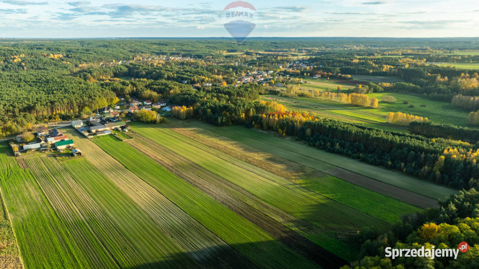 Dom z potencjałem w Toporowie z dużą działką