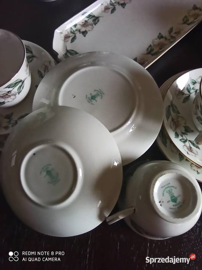 Serwis do herbaty Z kwiatem jabłoniStaffordshire Porcelana i szkło Gdańsk