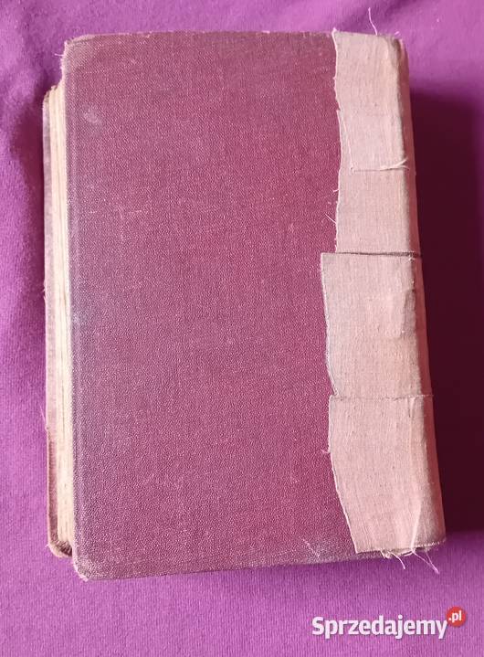 Julian Krzewiński Baletnica Rój 1929 r Wydanie I Koźminek