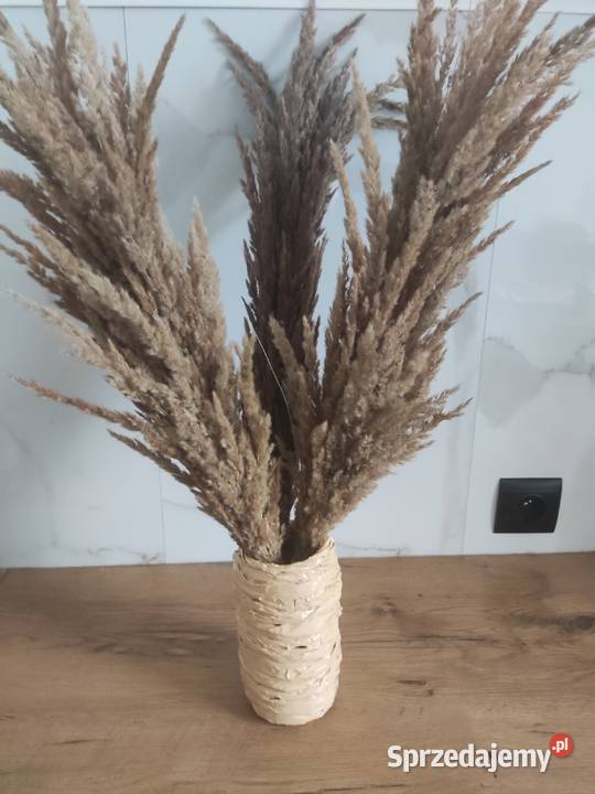 Suszone trawy palemki Pozostałe Kraśnik