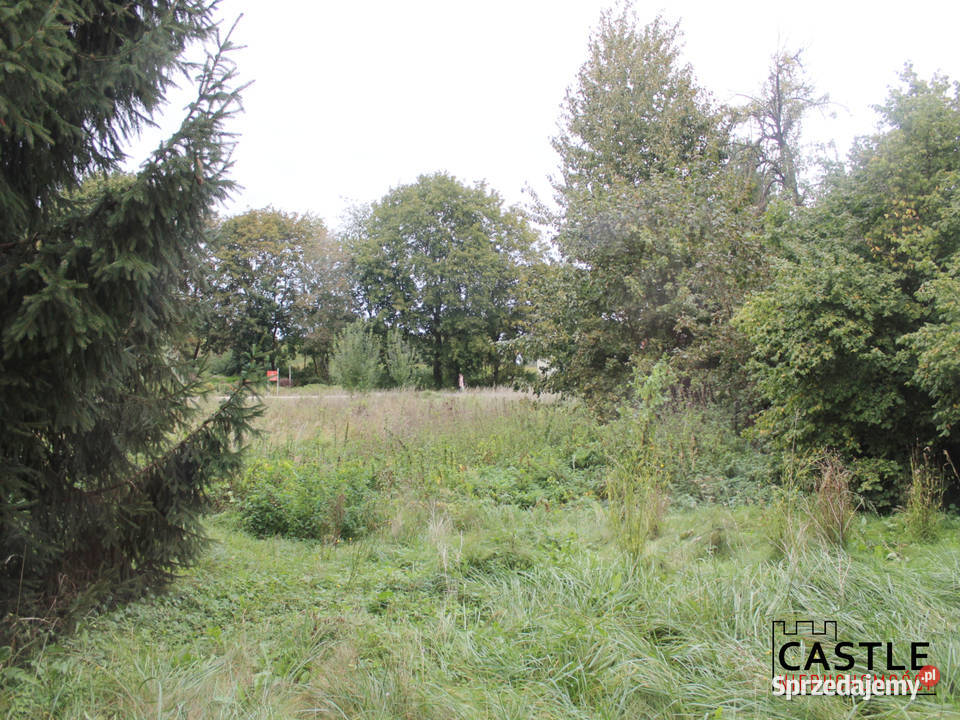 działka wale Szkarpawy I Mierzeja Wiślana I do Mikoszewo sprzedam