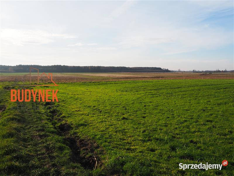 Działka rolna Krupy sprzedam