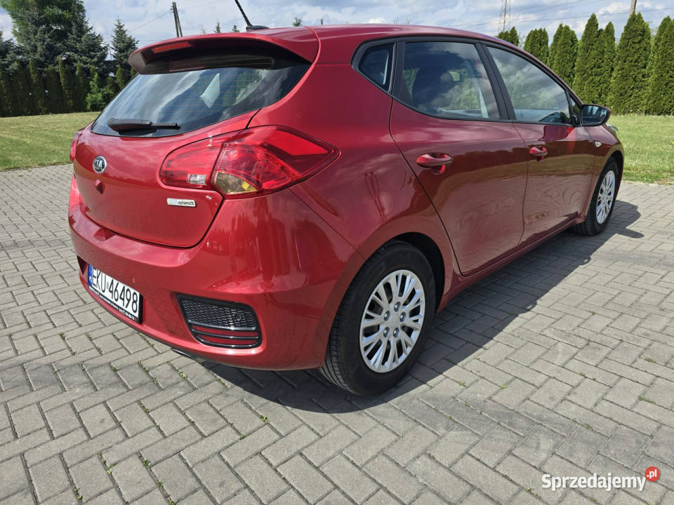 Kia Ceed 16crdi immobilizer Kutno
