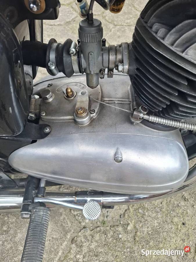 Sprzedam panonia Wolsztyn