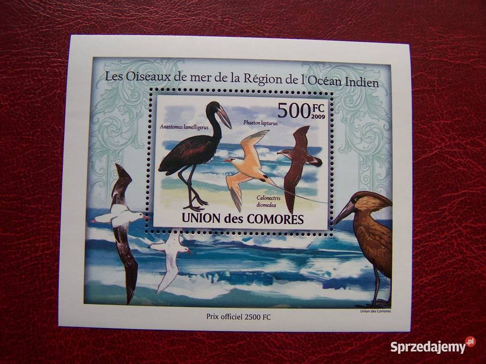 Komory 2009 MNH Fauna Ptaki Morskie Nakład 2500 sprzedam