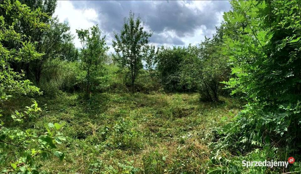 Działka budowlana Sprzedaż Godzisław