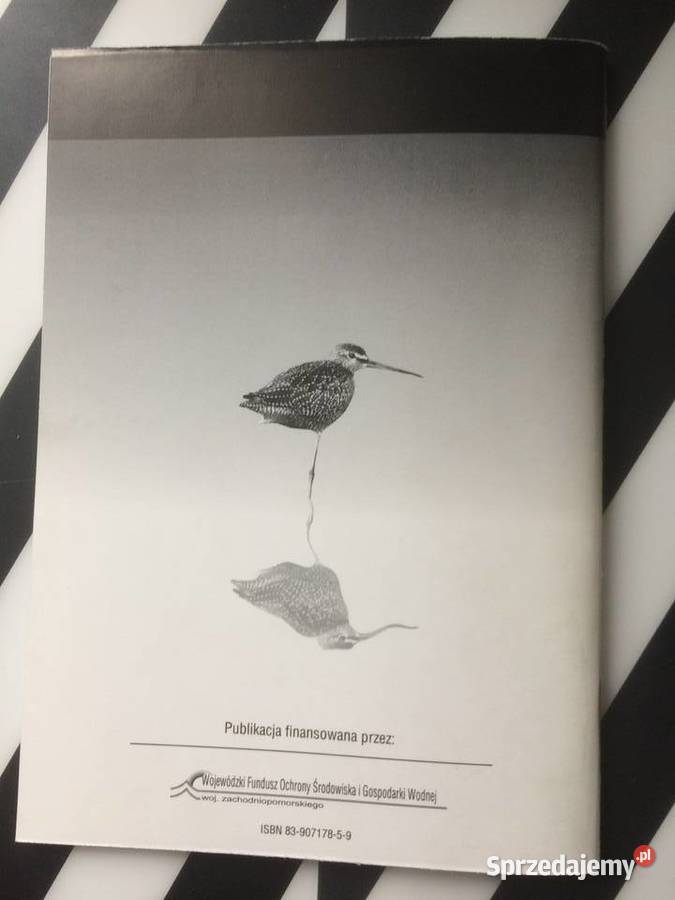 3683 Ptaki WodnoBłotne Na Pomorzu Zachodnim Szczecin