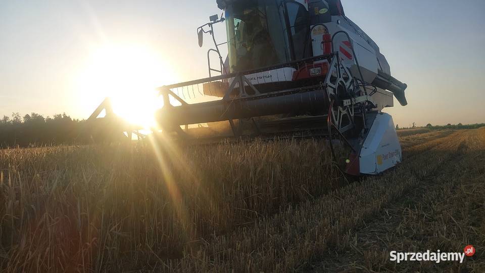 Usługi rolnicze inne orka omlot talerzowanie Żnin