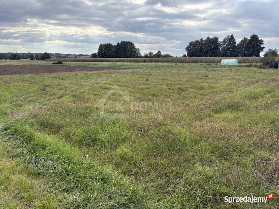 Działka pod wymarzony dom Oblęgór sprzedam