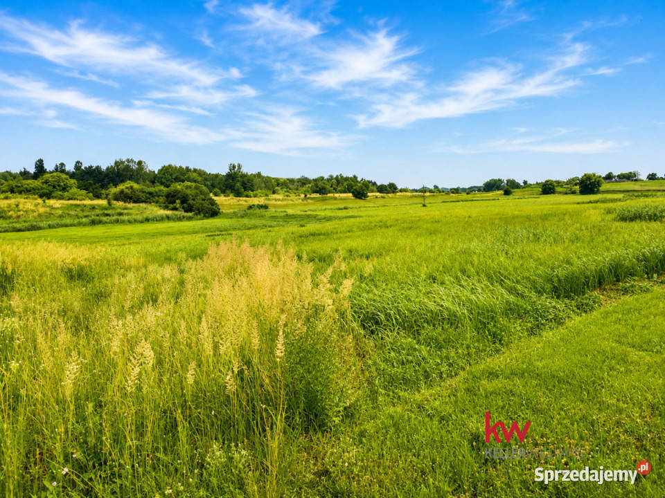 sprzedaży domu bliźniaka 526m2 Grabowiec