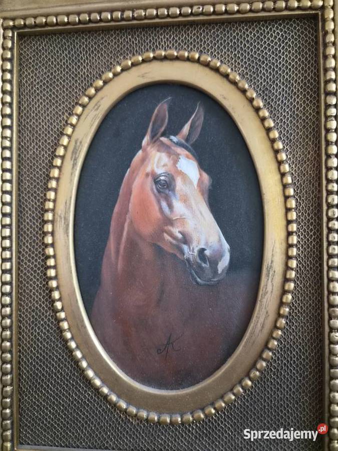 Piękny portret zadumanego konia Piaseczno