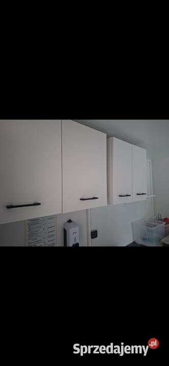 Przyczepa Gastronomiczna nowa gastronomiczne Wołów