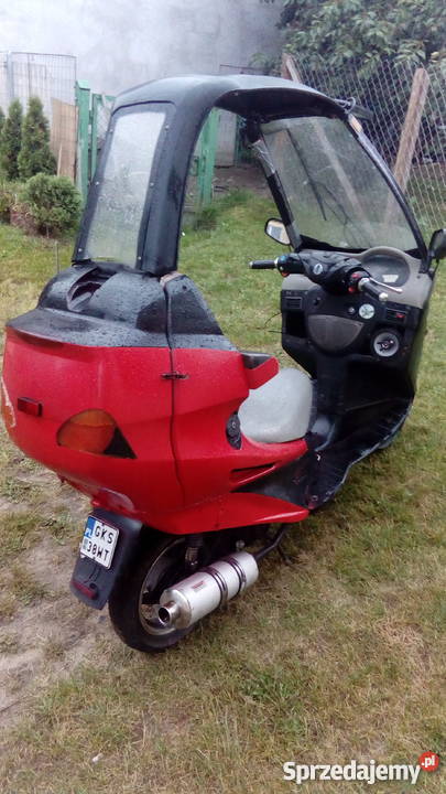 kingway poster z dachem fajny Kingway