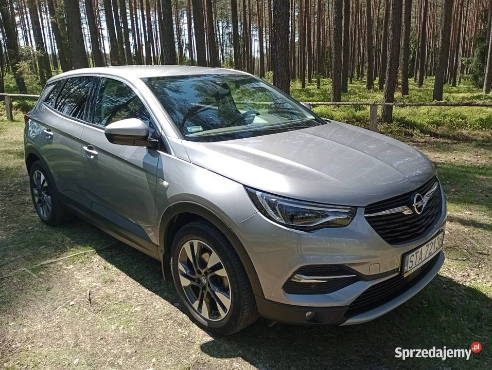Opel Grandland X pierwszy właściciel mały 1560cm3 Tarnowskie Góry