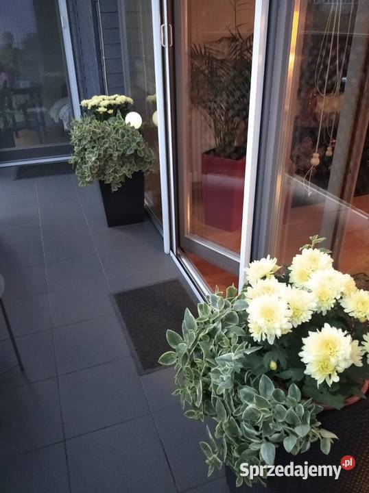apartament 63 mkw kom lokatorska 2 miejsca Lublin sprzedam