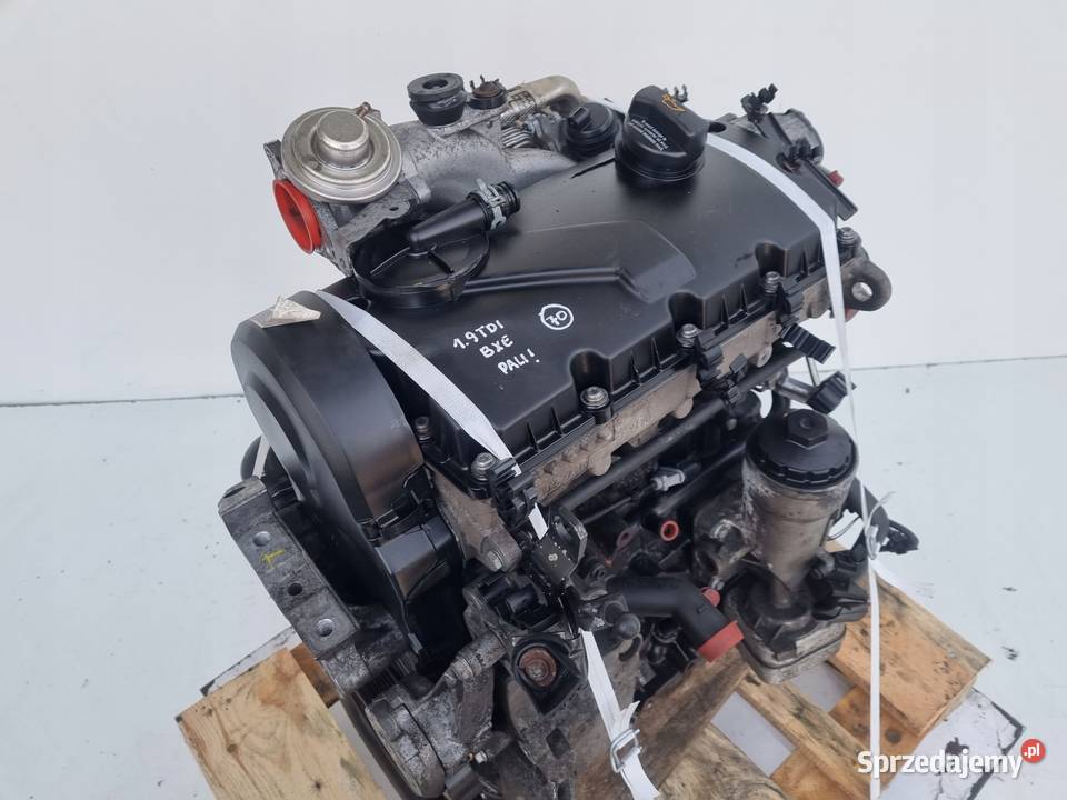 SILNIK KOMPLET Seat Leon II 19 TDI 105 ładnie Chełm