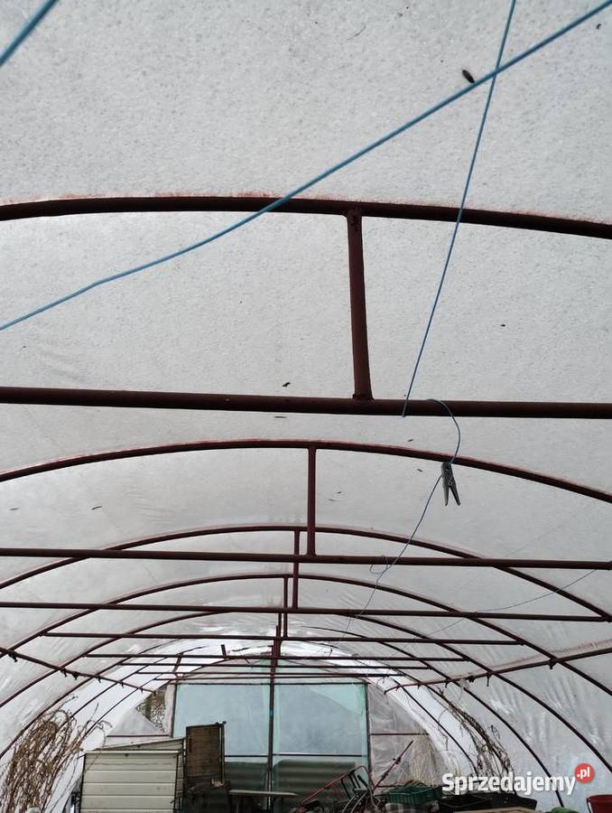 Tunel foliowy Księżpol sprzedam