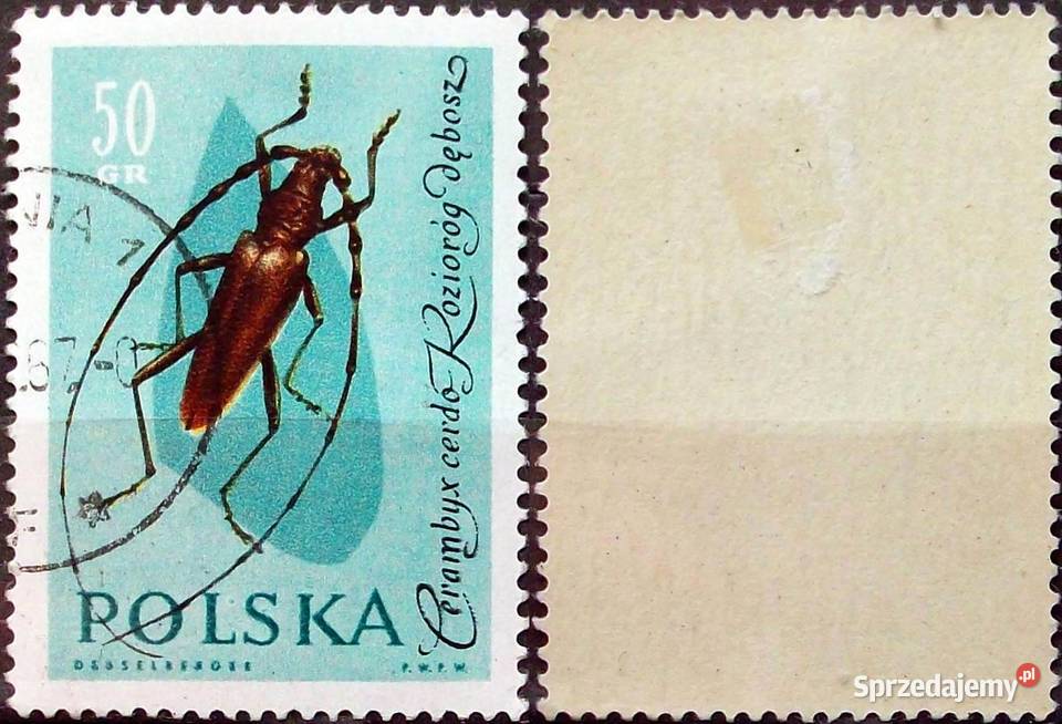 L Znaczki polskie 1961 IV kwartał Antyki, Sztuka, Kolekcje