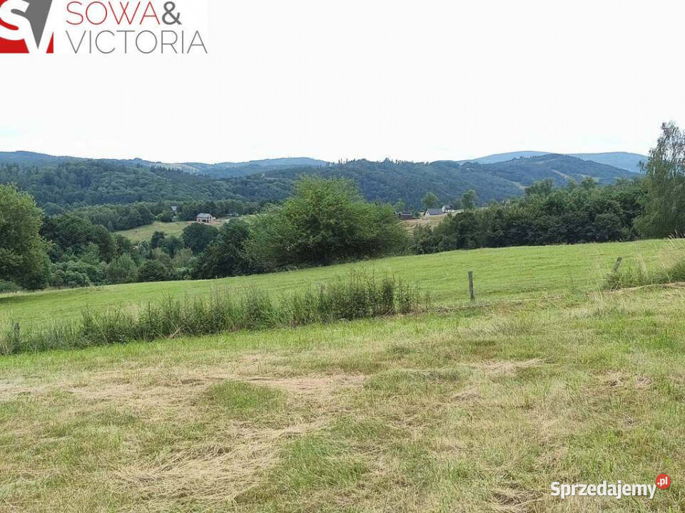 Panoramiczny widok na szczyty gór ok 1 PKP sprzedam