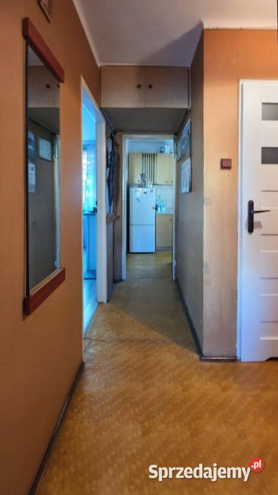 2 pokoje 43 m2 w centrum Rzeszowa Sprzedaż Rzeszów