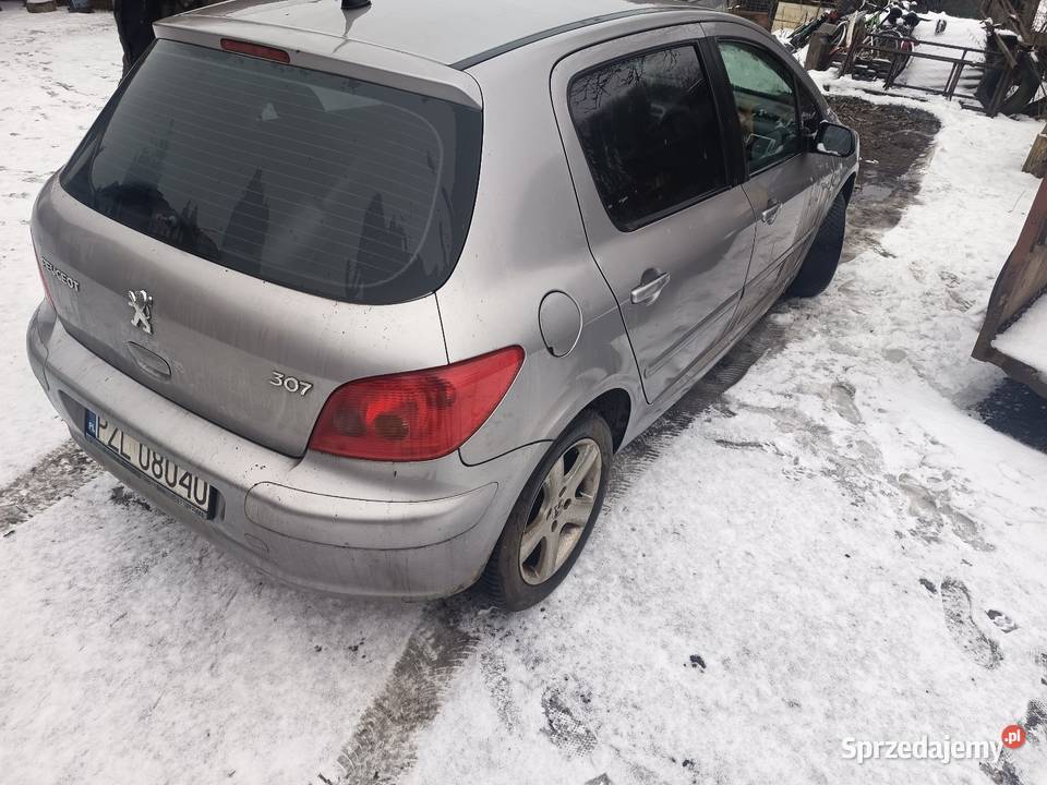 Peugeot 307 20 benzyna Jastrowie